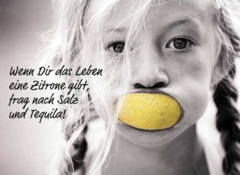 zitrone.jpg