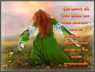 Geh den Glück entgegen....png