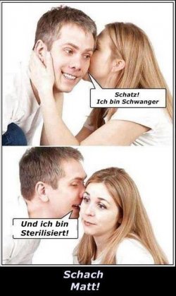 Schatz.jpg
