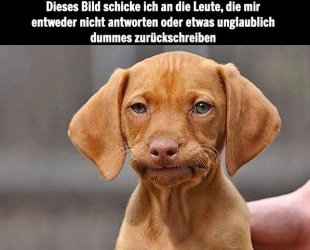 Bild.jpg