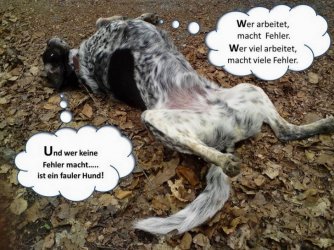 fauler_Hund.jpg