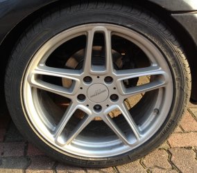 IMG_2956 neu.jpg IMG_2956 neu.jpg