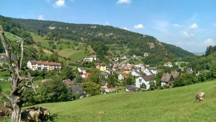 Schweiz2.jpg