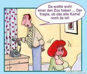 Kamel.jpg
