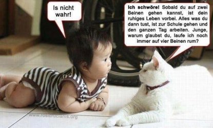Ist_nicht_wahr.jpg
