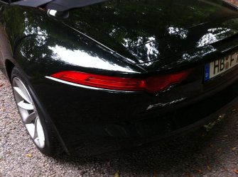 IMG_6307m.jpg