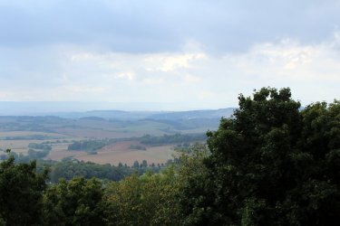 IMG_2542web.jpg