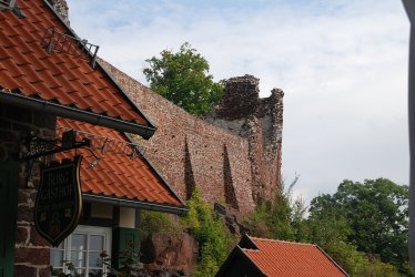 DSC_6588.JPG