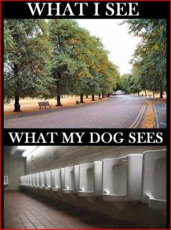 1Aufzeichnen.JPG 1Aufzeichnen.JPG