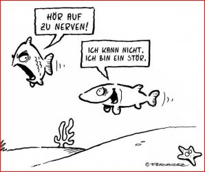 2Aufzeichnen.JPG 2Aufzeichnen.JPG