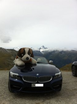 IMG_0878.JPG IMG_0878.JPG