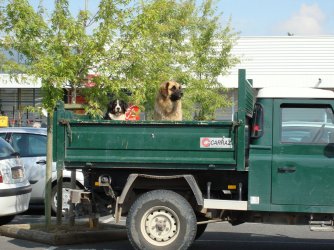 DSC00815.JPG DSC00815.JPG