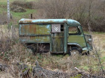 DSC02980.JPG DSC02980.JPG