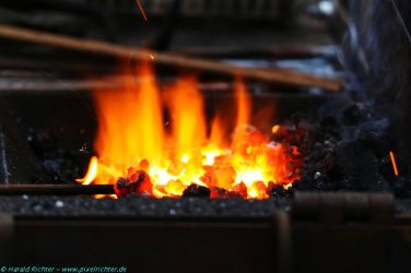 IMG_4514 800px-k.jpg
