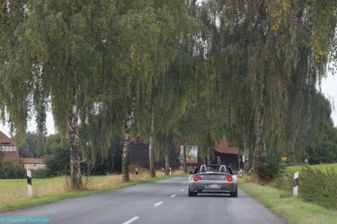 IMG_4688_DxO-k.jpg