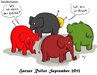 elefantenrunde.jpg