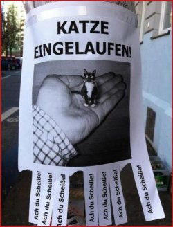 1Aufzeichnen.JPG