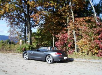 Herbststimmung mit Z4 001.JPG