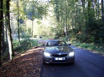 Herbststimmung mit Z4 005.JPG