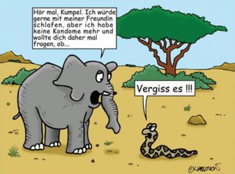 dem-elefanten.jpg