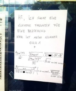 suche.jpg