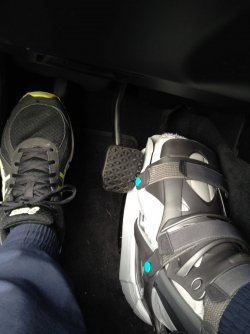 IMG_1555 (Large).JPG