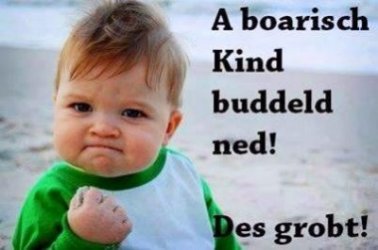 bild_d6c4e0bafd574ec0.jpg