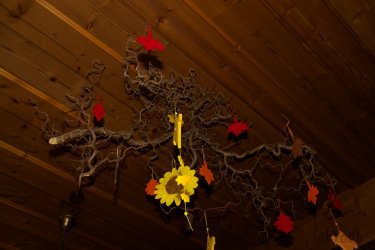 DSC_4850.jpg DSC_4850.jpg