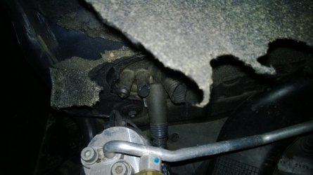 Z4 Schläuche Marder.jpg
