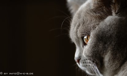 2013.04.14-14.57.10_02.jpg