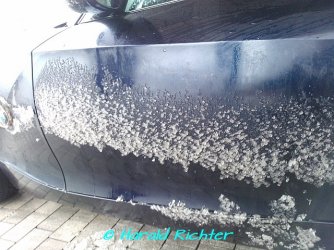 640x480px (2).jpg 640x480px (2).jpg