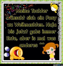 ein-pony-zu-weihnachten.jpg