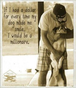Dogs_7.jpg