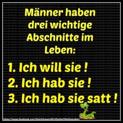 3_Abschnitte.jpg