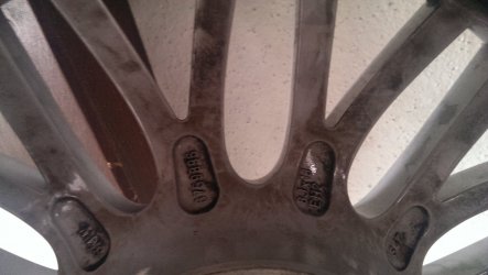 IMAG0420.jpg