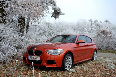 DSC_5661.JPG