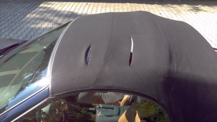 2013-08-16_09-56-01_328 bearb.jpg