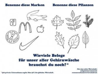 bild_1edf80469370405c.jpg