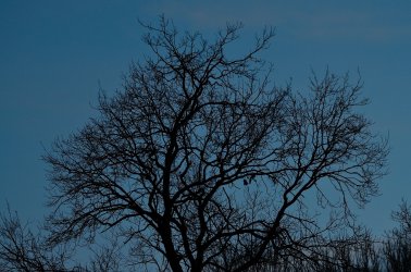 PMM-D5100  DSC_1874.JPG
