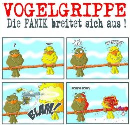vogelgrippe_1.jpg