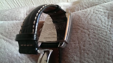 IMAG0465.jpg