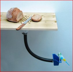 2Aufzeichnen.JPG