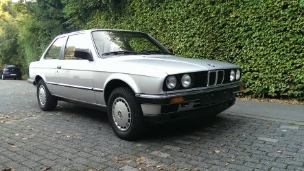 IMAG0124.2.jpg