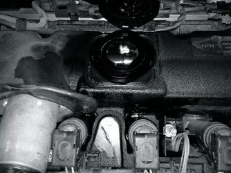 TM_N52b.jpg