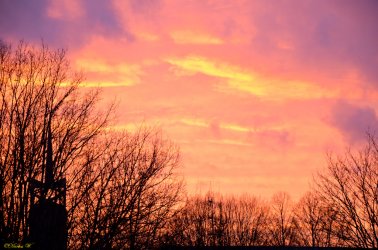 DSC_0234.jpg