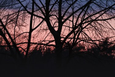 comp_IMG_0016.jpg