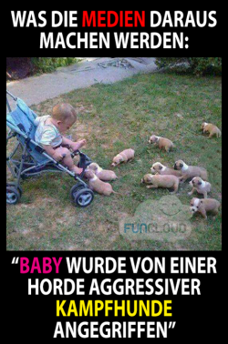 bild_46d5dc0e46474ffa.png