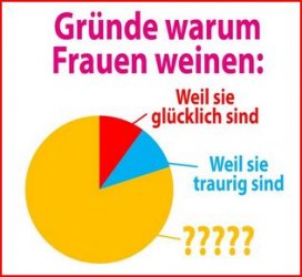 1Aufzeichnen.JPG