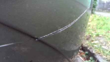 IMAG0411.jpg