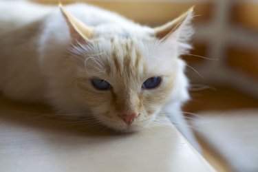 DSC_3599.jpg
